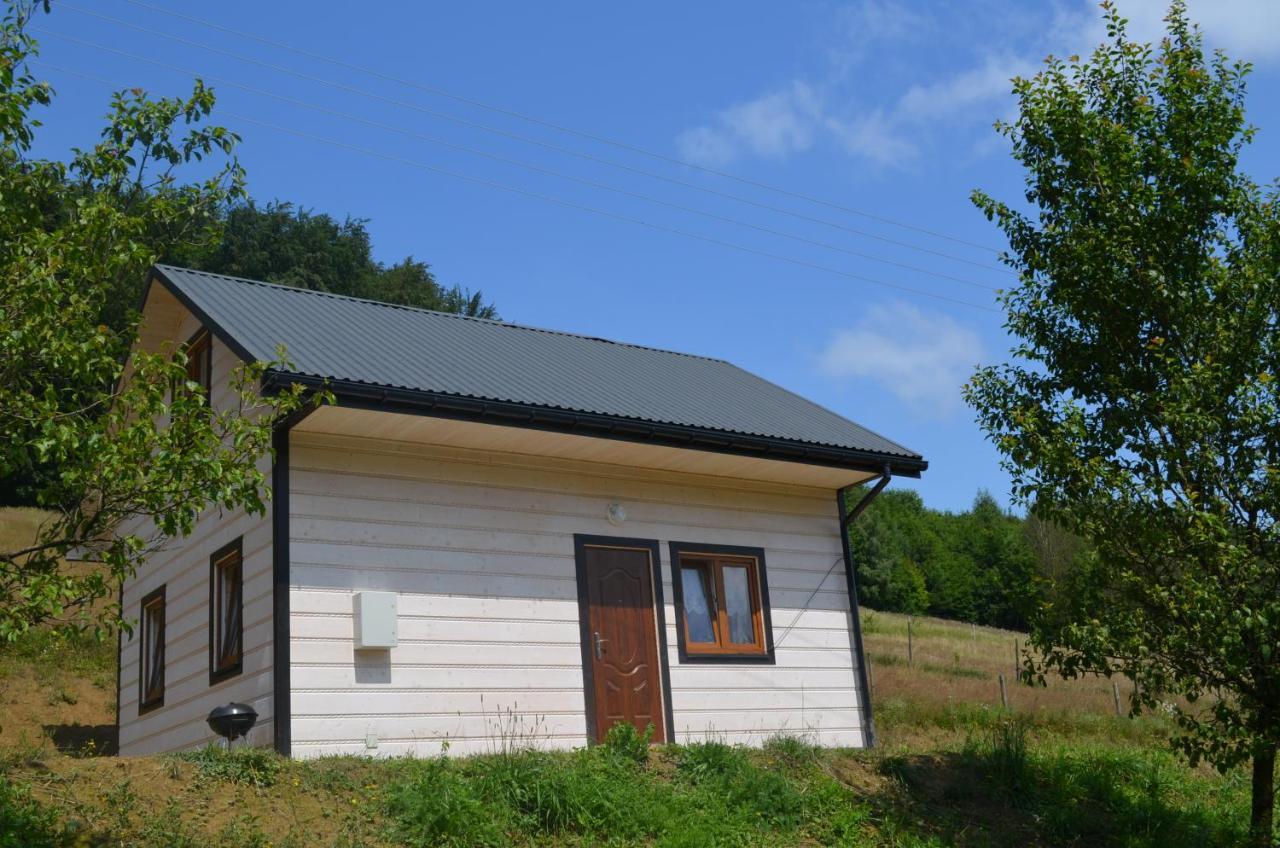 Domek Zacisze Gor Slonnych Tyrawa Woloska Exterior photo